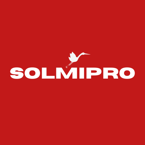 Solmi-logo-6